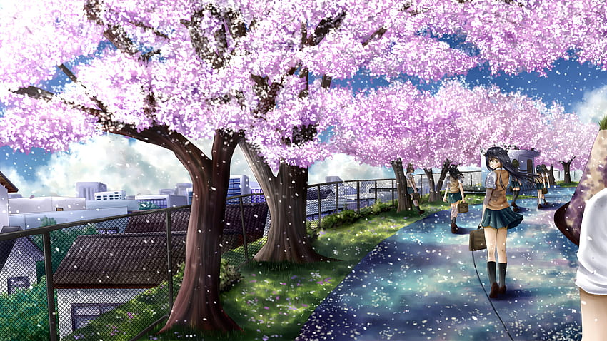 cherry blossoms, ilolamai, seifuku.jpg (1920Ã1080) | 1ã¢ãã¡å£ç´ | Pinterest | Cherry blossoms, Anime art and Digital art HD wallpaper